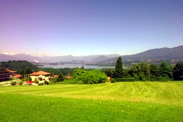 06.jpg