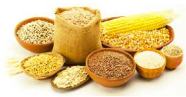 Cibi Poveri ma Ricchi