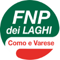 Banner Sito FNP-CISL dei Laghi - Logo Banner Sito FNP-CISL dei Laghi - Logo